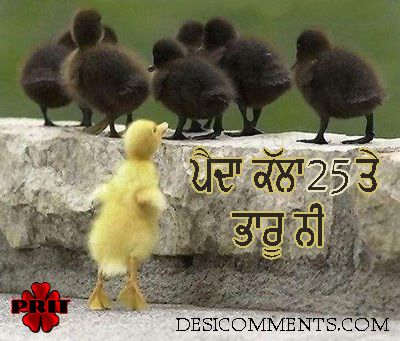 funny..quotes..in..punjabi - DC Forum