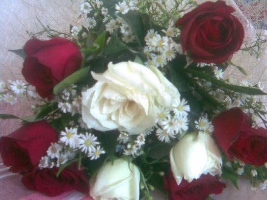 flowers