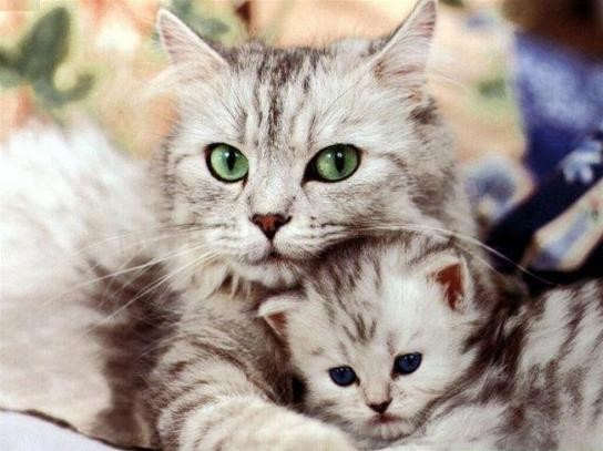 Mother with cute child