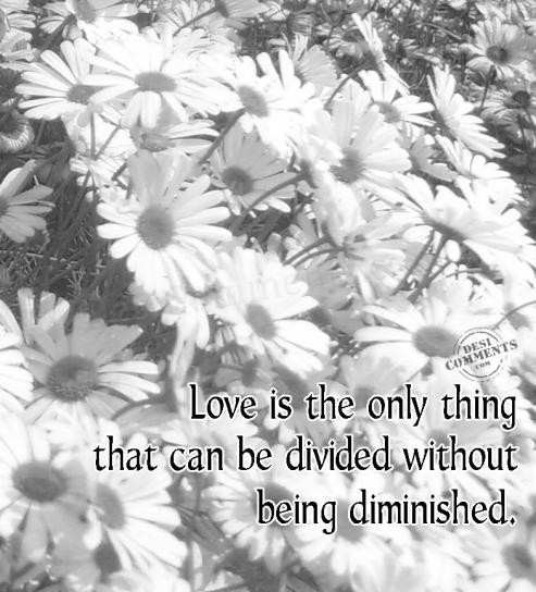 Love is the only thing
