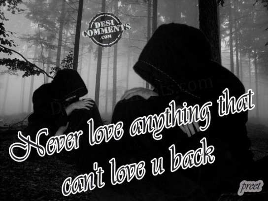 Never love...