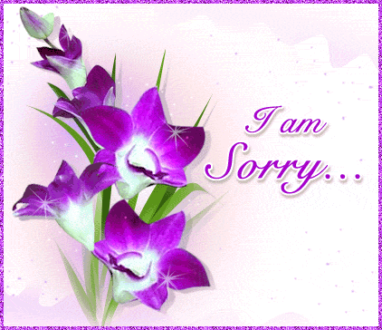 I am Sorry...