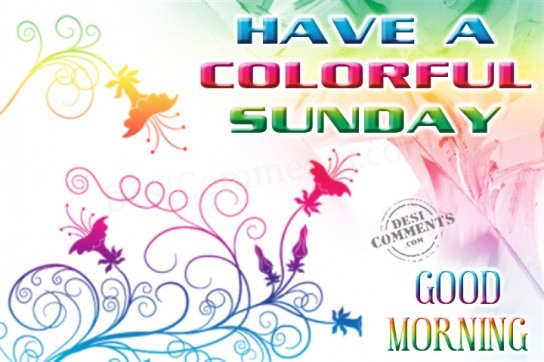 Have a colorful sunday