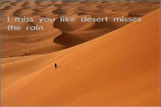 i miss you like the desert