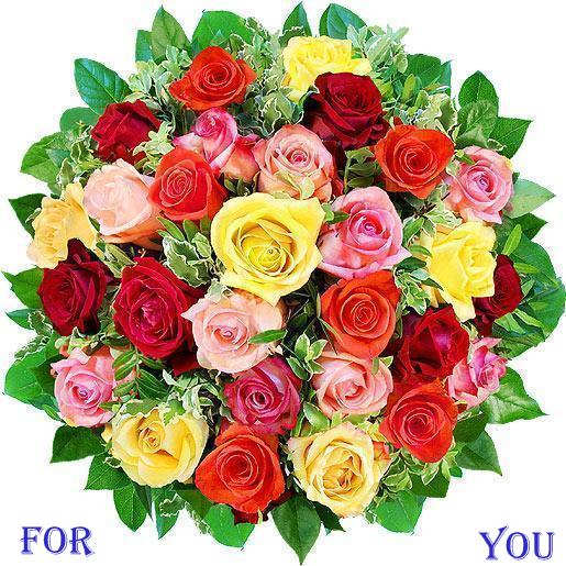 flowers pictures roses for orkut. Category: Flowers, Rose