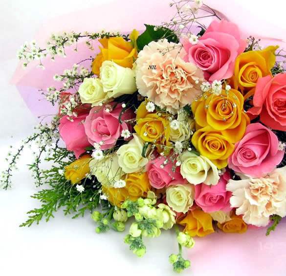 flowers pictures roses for orkut. Category: Flowers, Rose