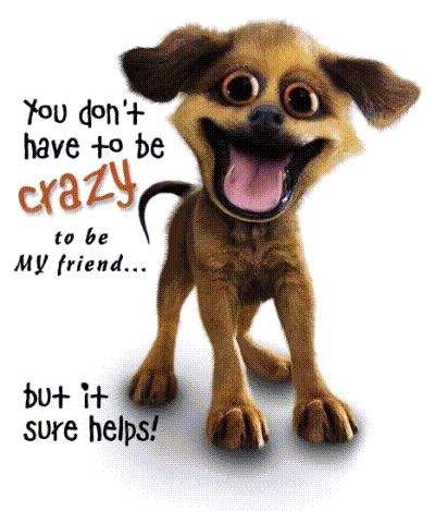 You don't have to be crazy to be my friend, but it sure helps!