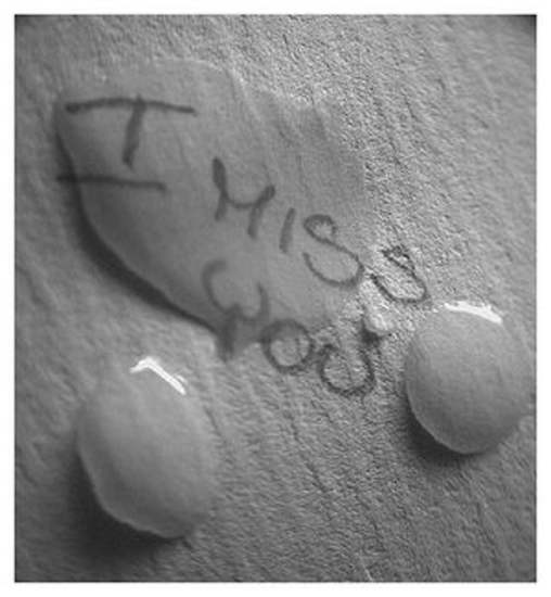 I Miss You
