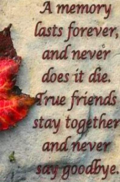 True friends stay together and never say goodbye