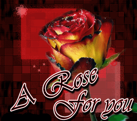 A rose for you