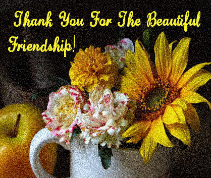 Thank you for the beautiful friendship