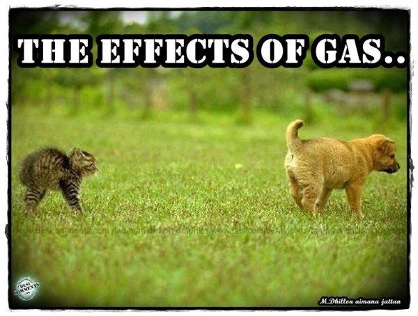 The effects of gas
