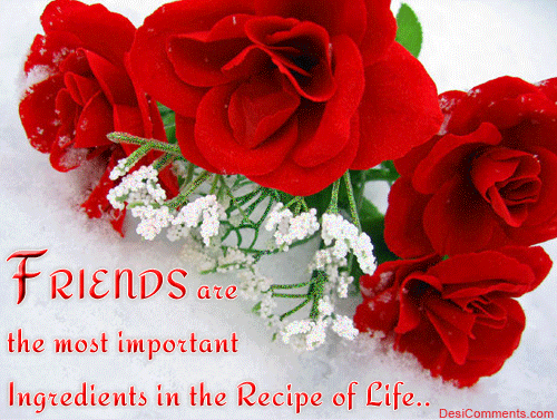 Friends are the most important...