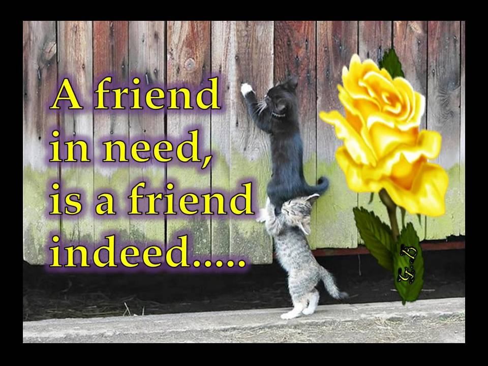 friend in need is a friend indeed