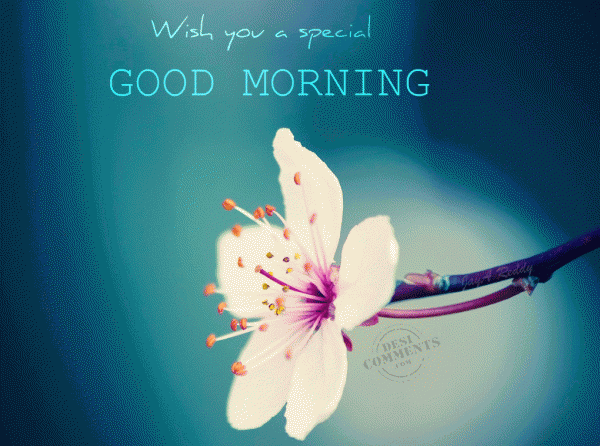 Wish you a special good morning