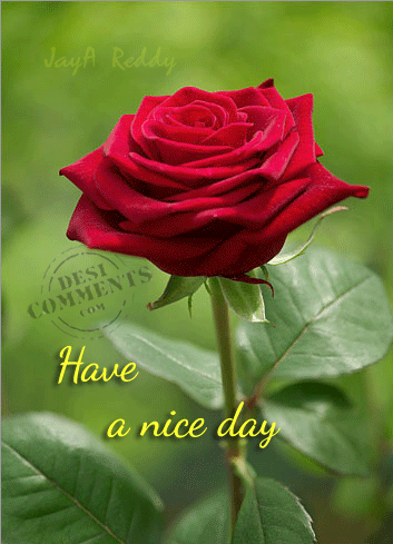 Have A Nice Day