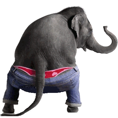 Funny elephant in jeans