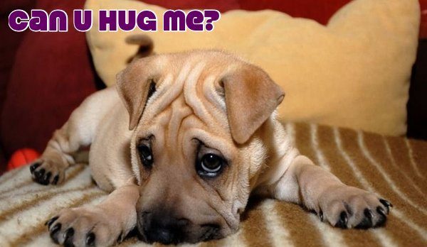 Can you hug me plz