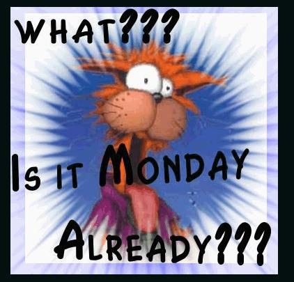 What? is it monday Already?