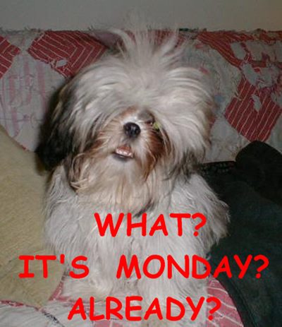 What? its monday already?
