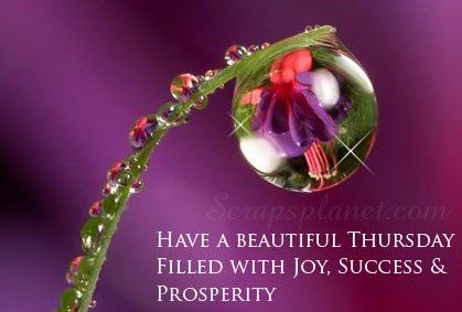 Have a beautiful Thursday