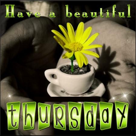 Have beautiful thursday