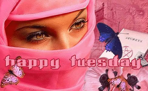 Beautiful happy tuesday graphic
