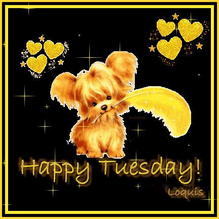 Image result for happy tuesday gif