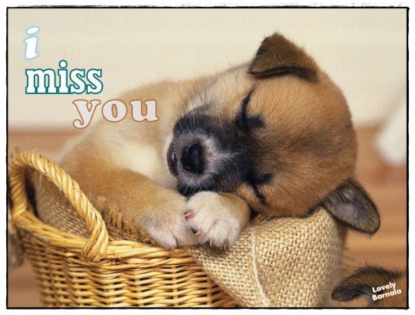 I Miss You