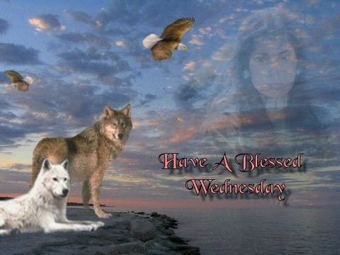 Have a blessed wednesday