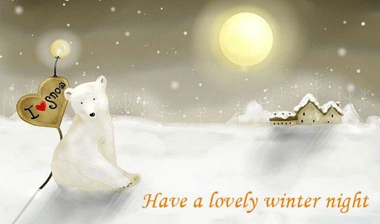 Have a lovely winter night