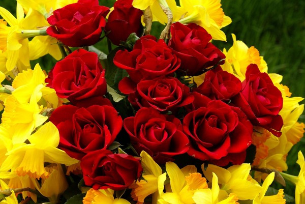 Red roses and narcissus bouquet