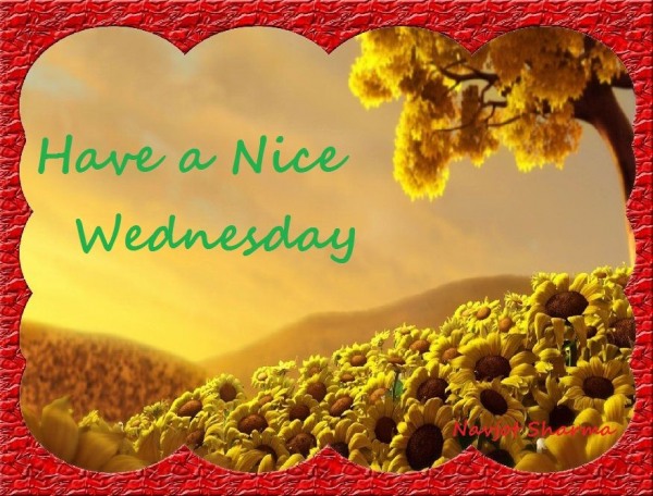 Have a nice wednesday