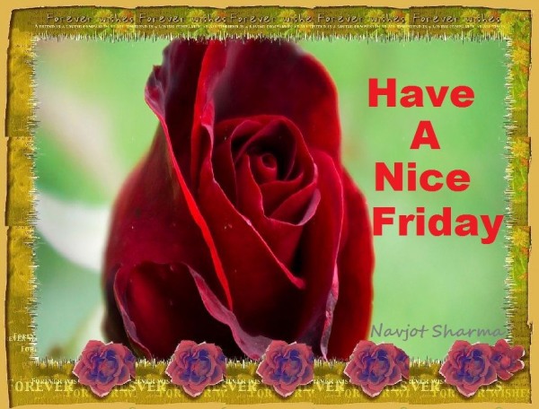 Have a nice friday
