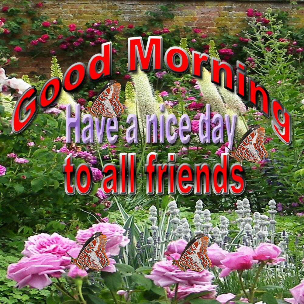 Image result for good morning friends images