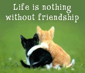 Friendship...