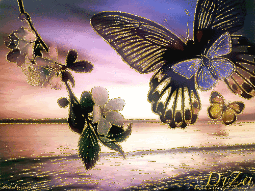 Picture: Blooming Butterflies Graphic
