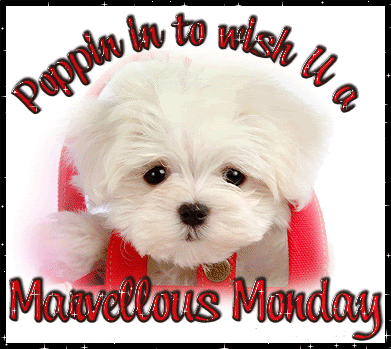 Wish You A Marvelous monday!