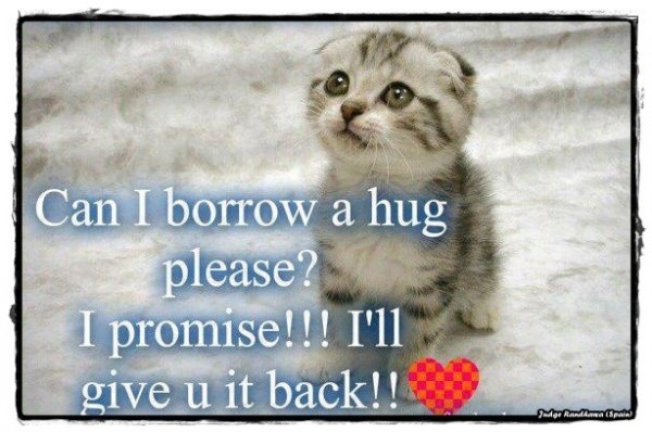 Can I Borrow A Hug Please?