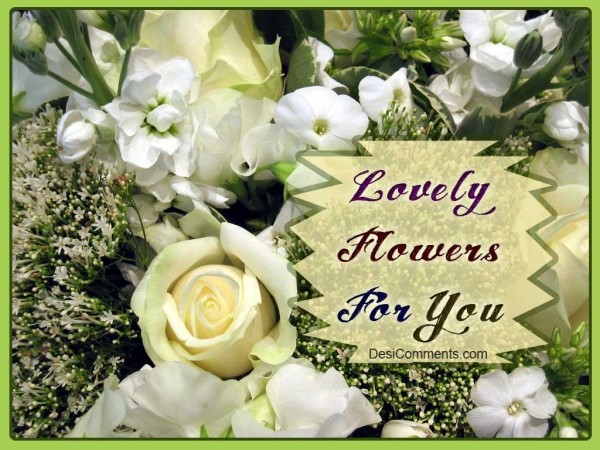 Lovely Flowers for you...