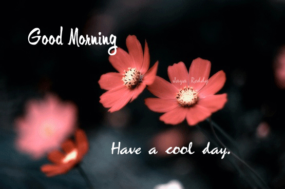 Good Morning