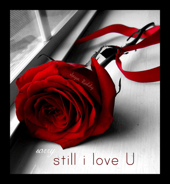 Still I Love You