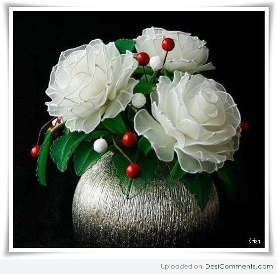 Cute white roses