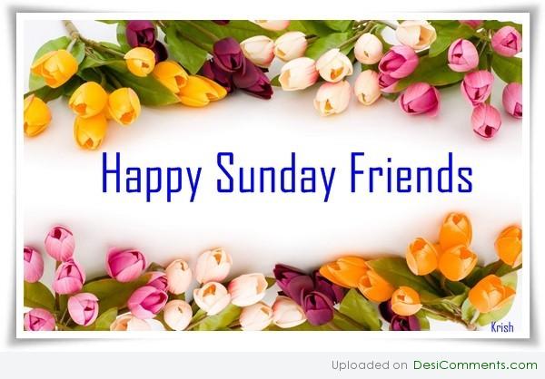 Image result for happy sunday images