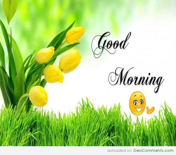 Good morning