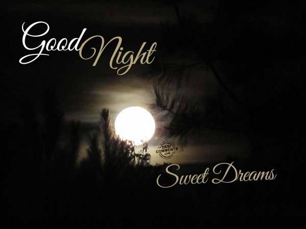 Good Night, Sweet Dreams