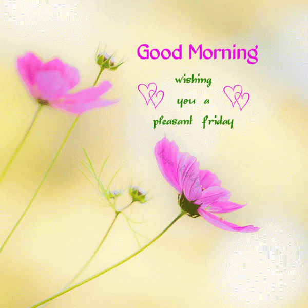Good Morning – Wishing you a pleasant friday