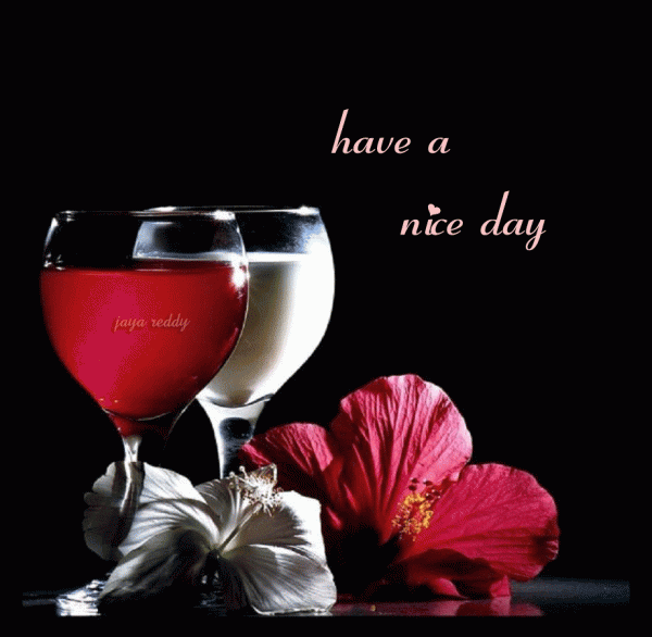 Have a nice day