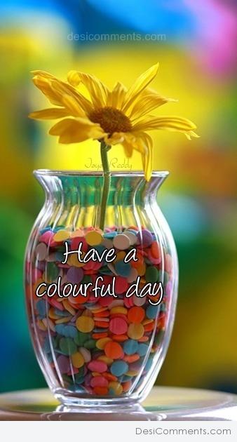 Have Colorful Day