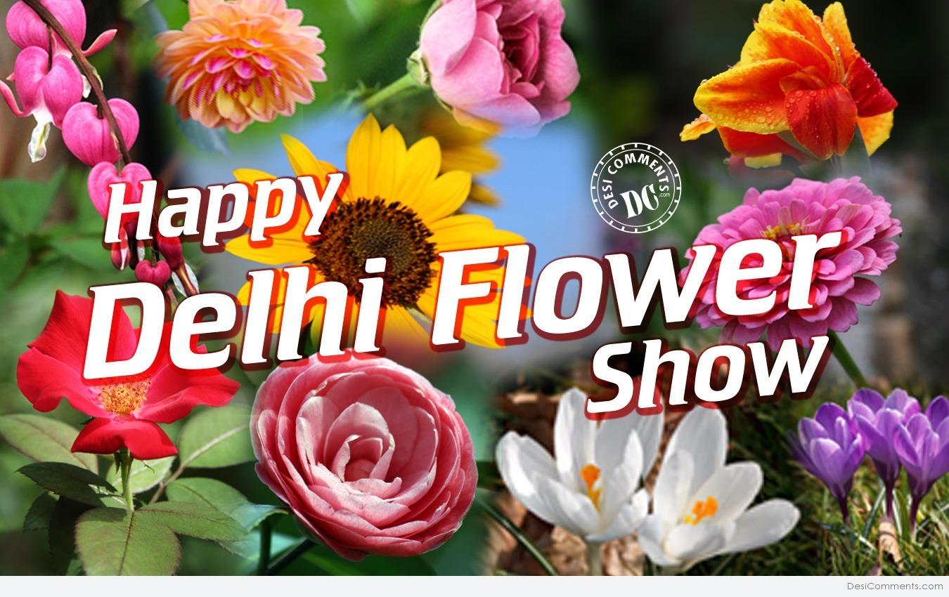 Delhi Flower And Garden Flower Inspiration